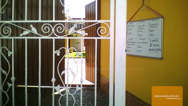Entrada (vista previa)