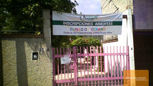 Entrada (vista previa)